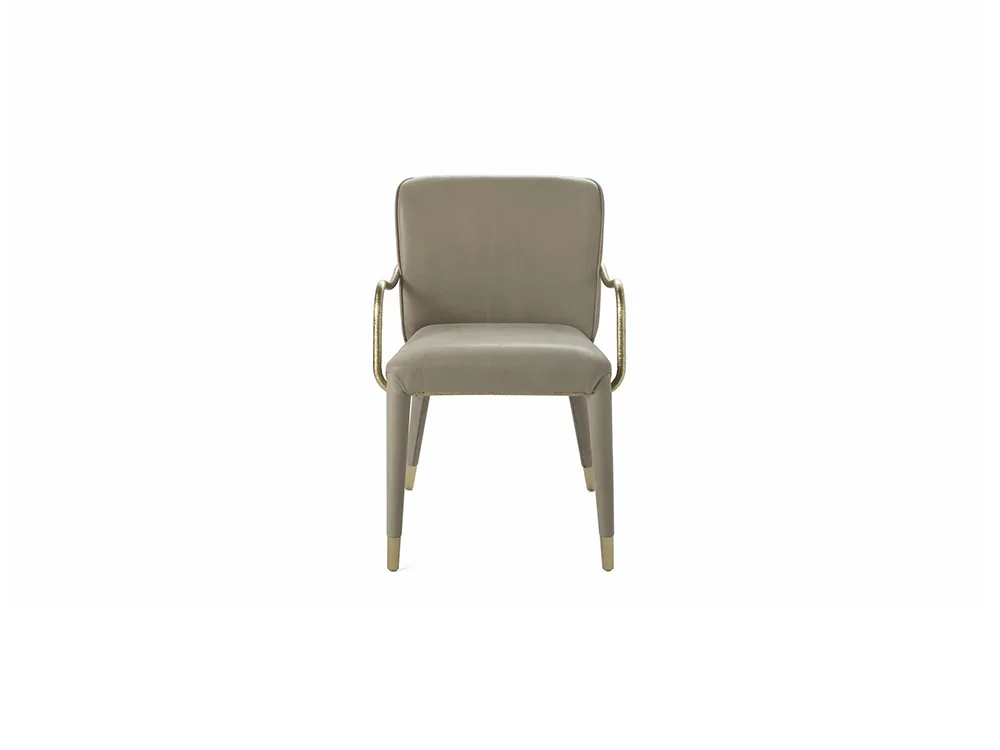 BAIGATTI Dining Chairs WG-14