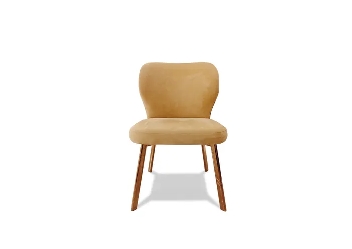 FD001 Dining Chairs